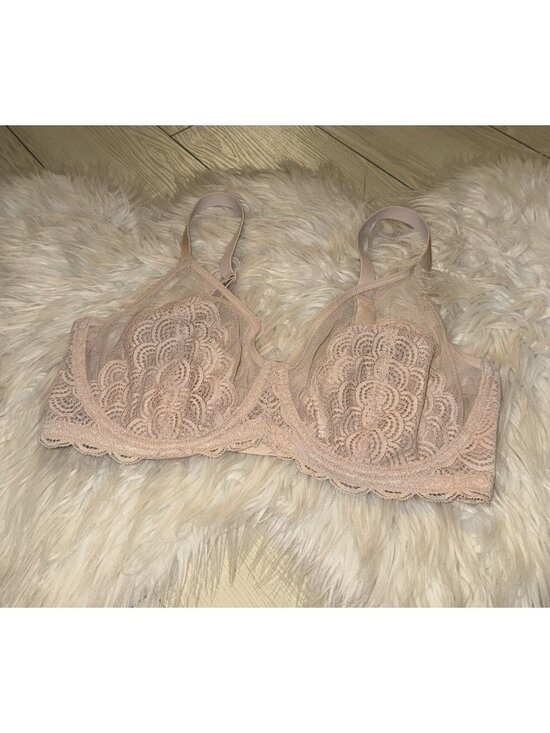 Hsia Other - HSIA Lace Minimizer Bra Unlined Unpadded Sheer Underwire Womens 36DD Beige
